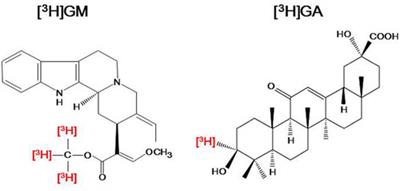 Multiple Psychopharmacological Effects of the Traditional Japanese <mark class="highlighted">Kampo Medicine</mark> Yokukansan, and the Brain Regions it Affects